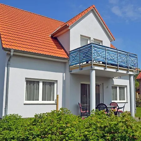 Windland 2 Comfortable غلوفي